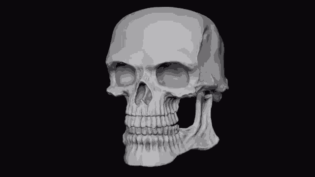 Craniuroacer GIF