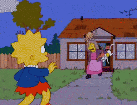 Crazy Cat GIF
