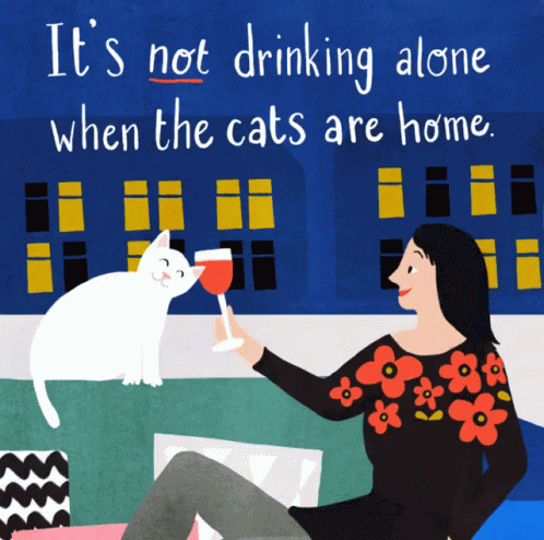 Crazy Cat Lady Agnes Loonstra GIF