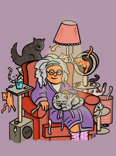 Crazy Cat Ladys Happy Place GIF