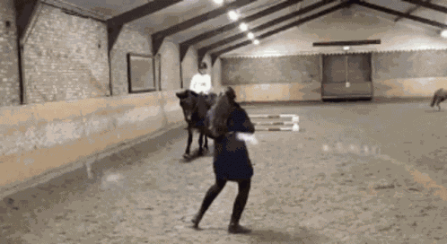 Crazy Horse Choco The Horse GIF