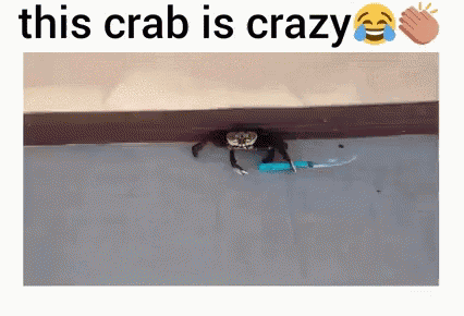 Crazy Knife GIF