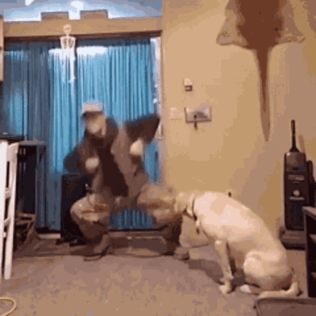 Crazy La Paint Dance GIF