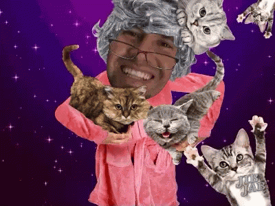 Crazycatlady GIF