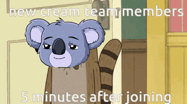 Cream Team Koala GIF