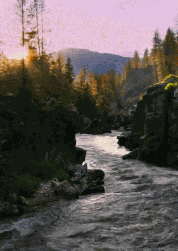 Creek Form Http://Headlikeanorange.Tumblr.Com/ GIF