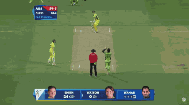 Cricket Bouncer GIF