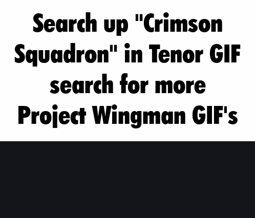 Crimson Squadron Project Wingman GIF
