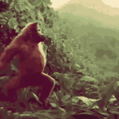 Crip Walk GIF