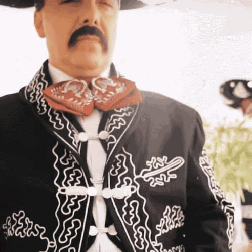 Cristian Castro Viva Mexico GIF