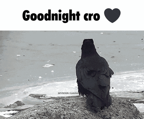 Cro Crow GIF