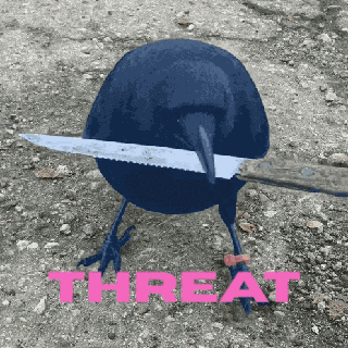 Crows The Roost GIF