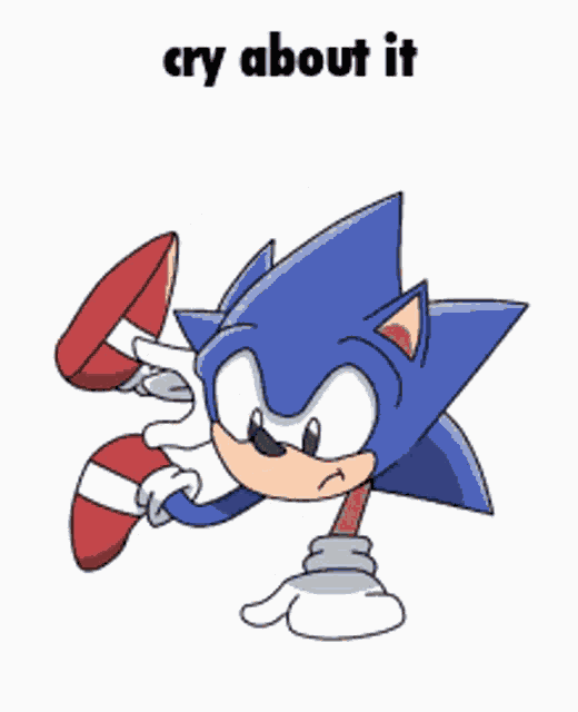 Cru About It Sonic GIF