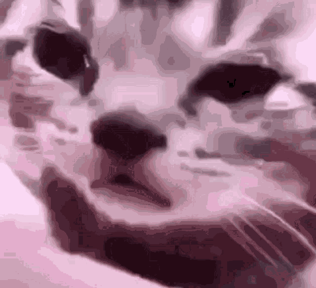 Cry Cat GIF