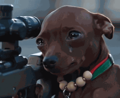 Crying Dog Sad Dog GIF