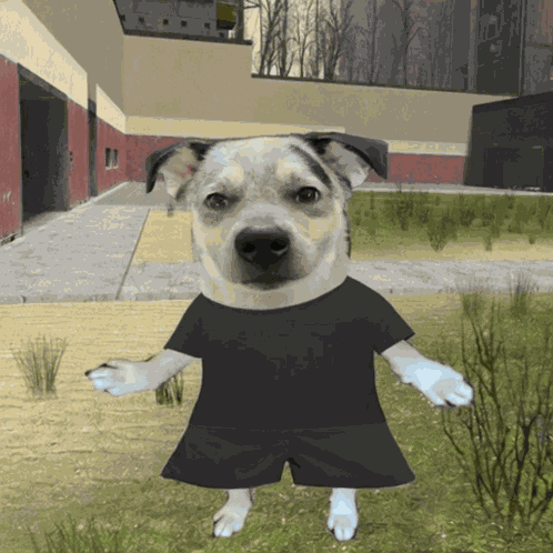 Crying Sadness GIF