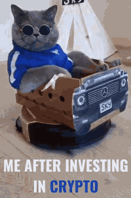 Crypto Cat GIF