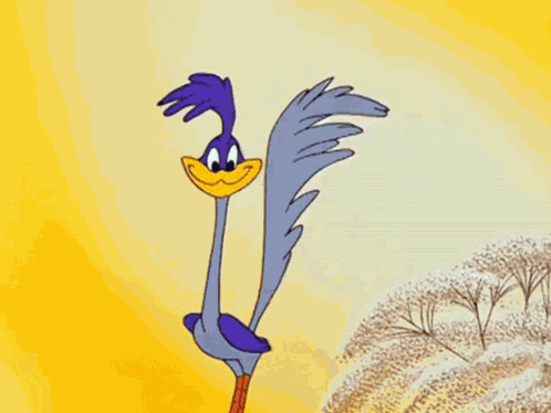 Crypto Memecoin GIF
