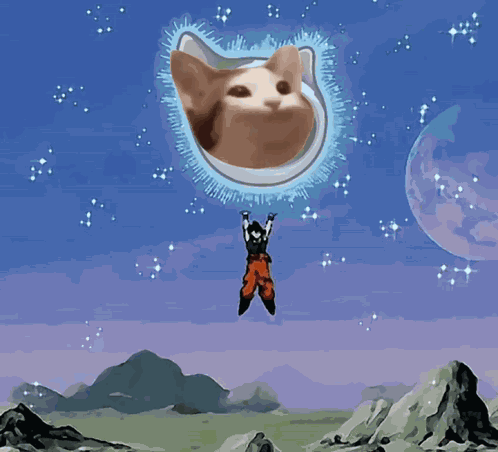 Crypto Popcat GIF