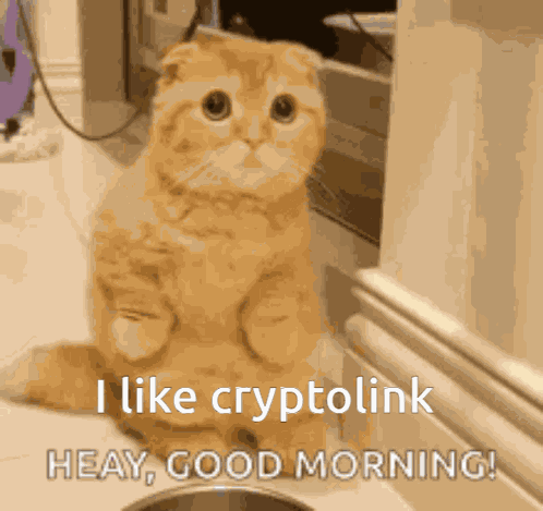 Cryptolink GIF