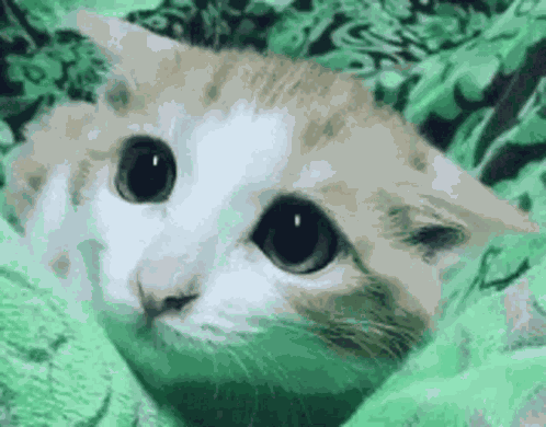 Crystal The Cavern Spirit GIF