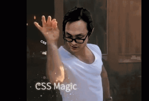 Css Css Magic GIF