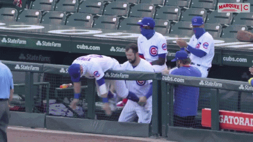 Cubs Dugout GIF