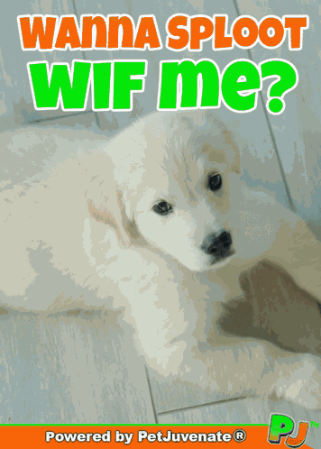 Cuddle Me Want To Cuddle GIF