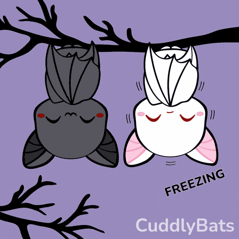 Cuddly Bats Cute GIF