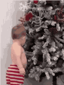 Cunning Smile GIF