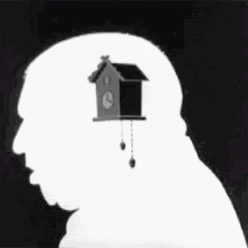 Curly Bird Curly Bird In The Head GIF
