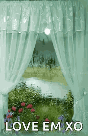 Curtain Flowers GIF