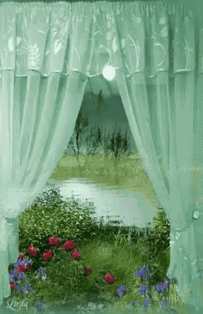 Curtain Flowers GIF