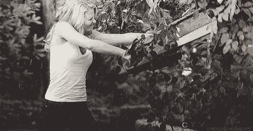 Cut Down To Size GIF