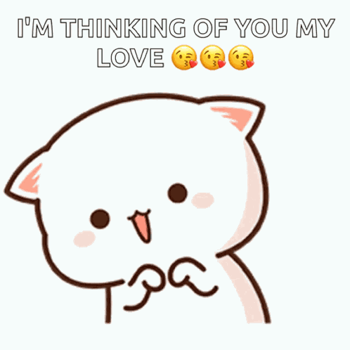 Cute Adorable GIF