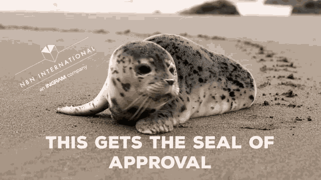 Cute Animals Cute GIF