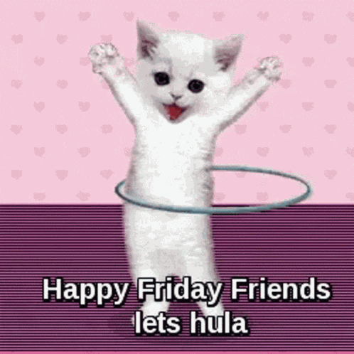 Cute Cat GIF