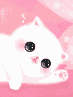 Cute Cat GIF