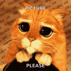 Cute Cat GIF