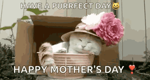 Cute Cat Princess GIF
