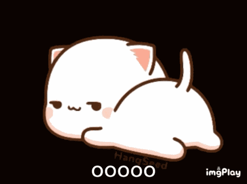 Cute Cat GIF