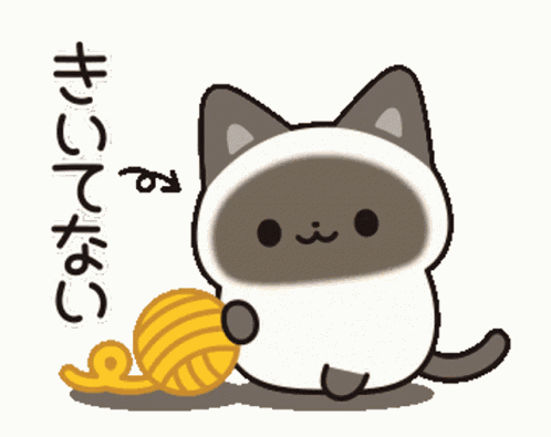 Cute Cats Cutecatz GIF
