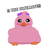 Cute Cute Duck Sticker