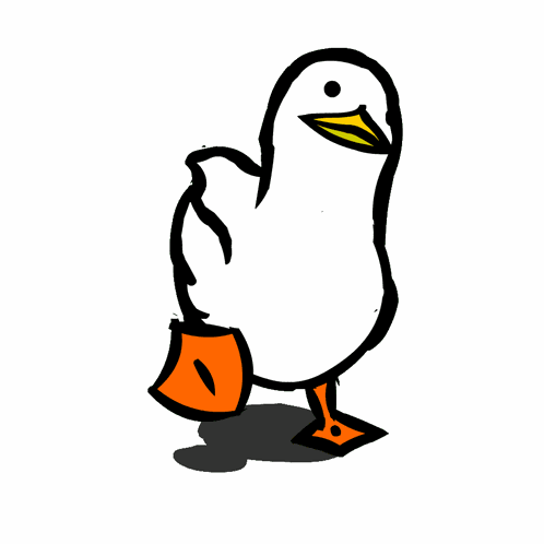 Cute Duck GIF