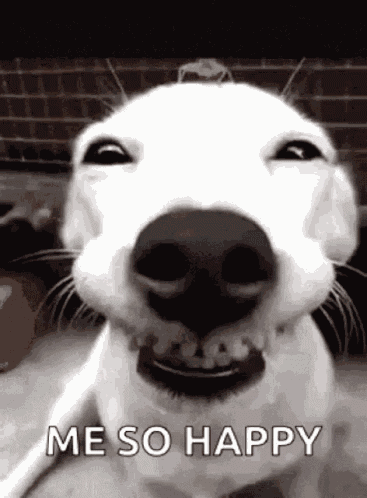 Cute GIF