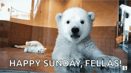 Cute Kawaii GIF