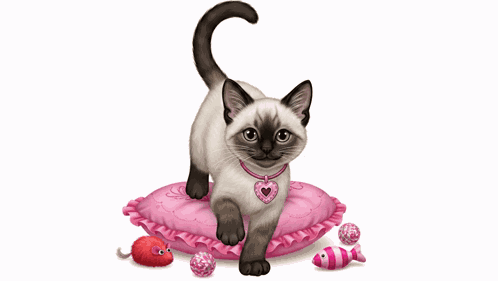 Cute Kitten GIF