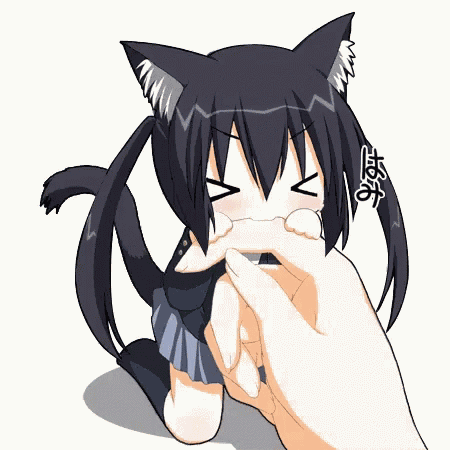 Cute Kitty GIF