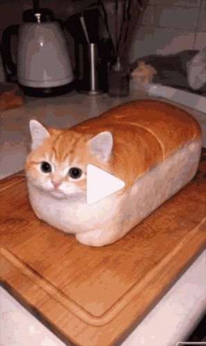 Cute GIF