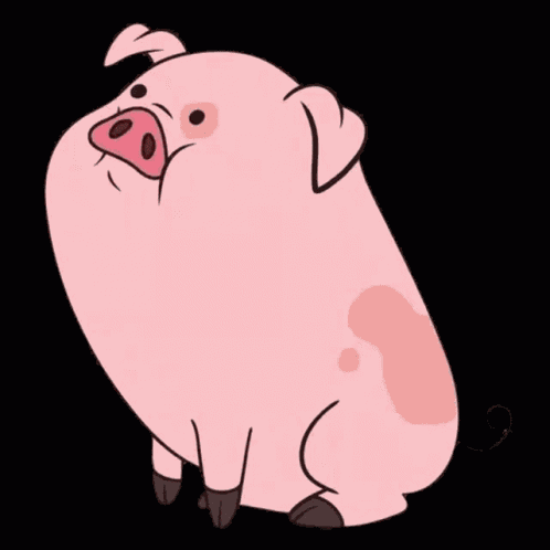 Cute Pig GIF